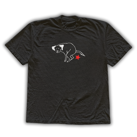 Pt é cocô - Camiseta