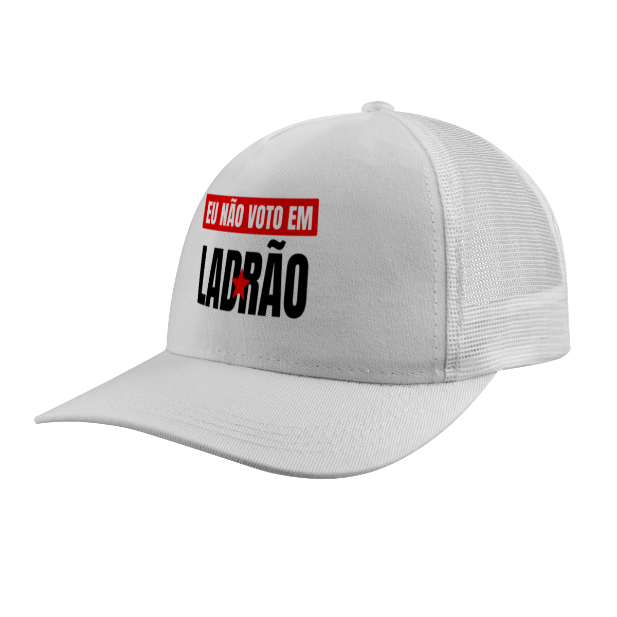 Eu não voto em ladrão 1